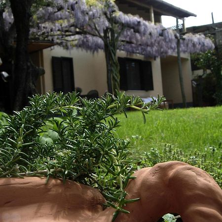 Villa Caprile Massa Lubrense Quarto foto